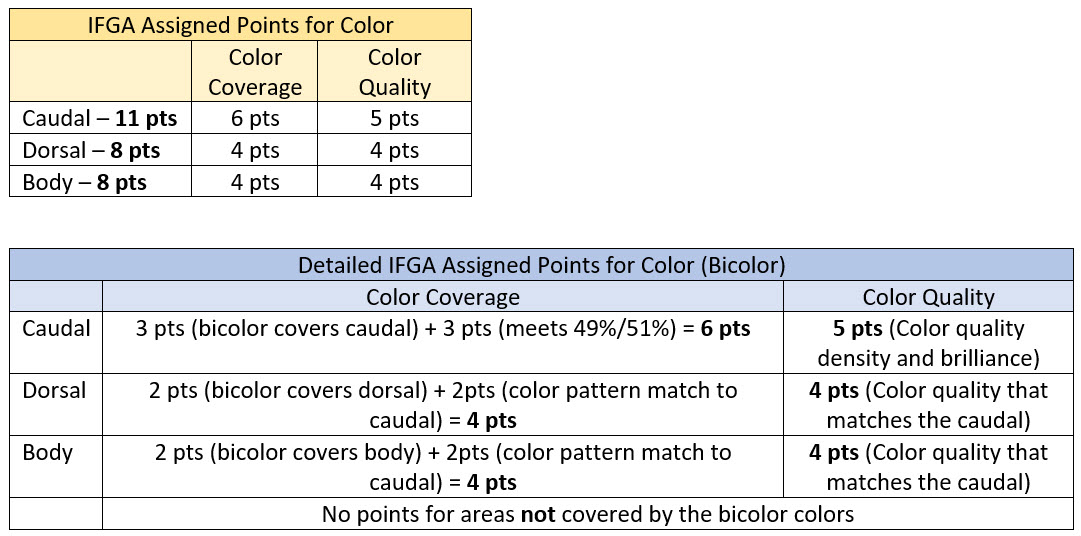 Point Breakdown