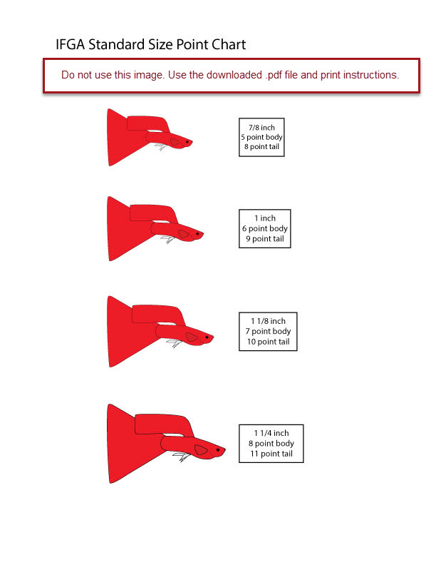 Print Point Size Chart