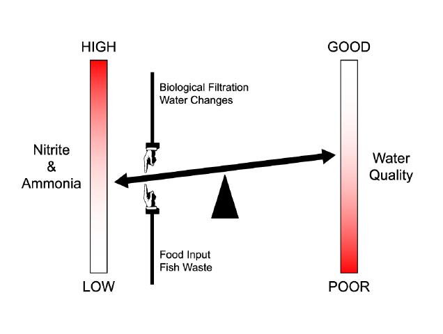 water condition diagram